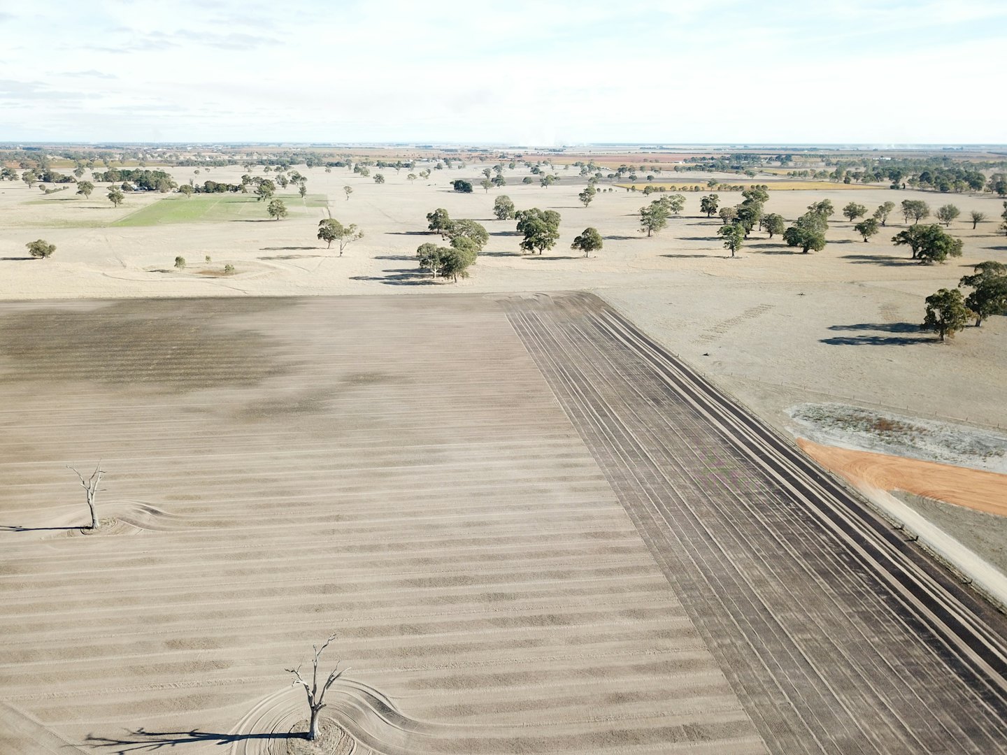 Expansive agricultural fields feature parallel rows and rural dirt roads.
