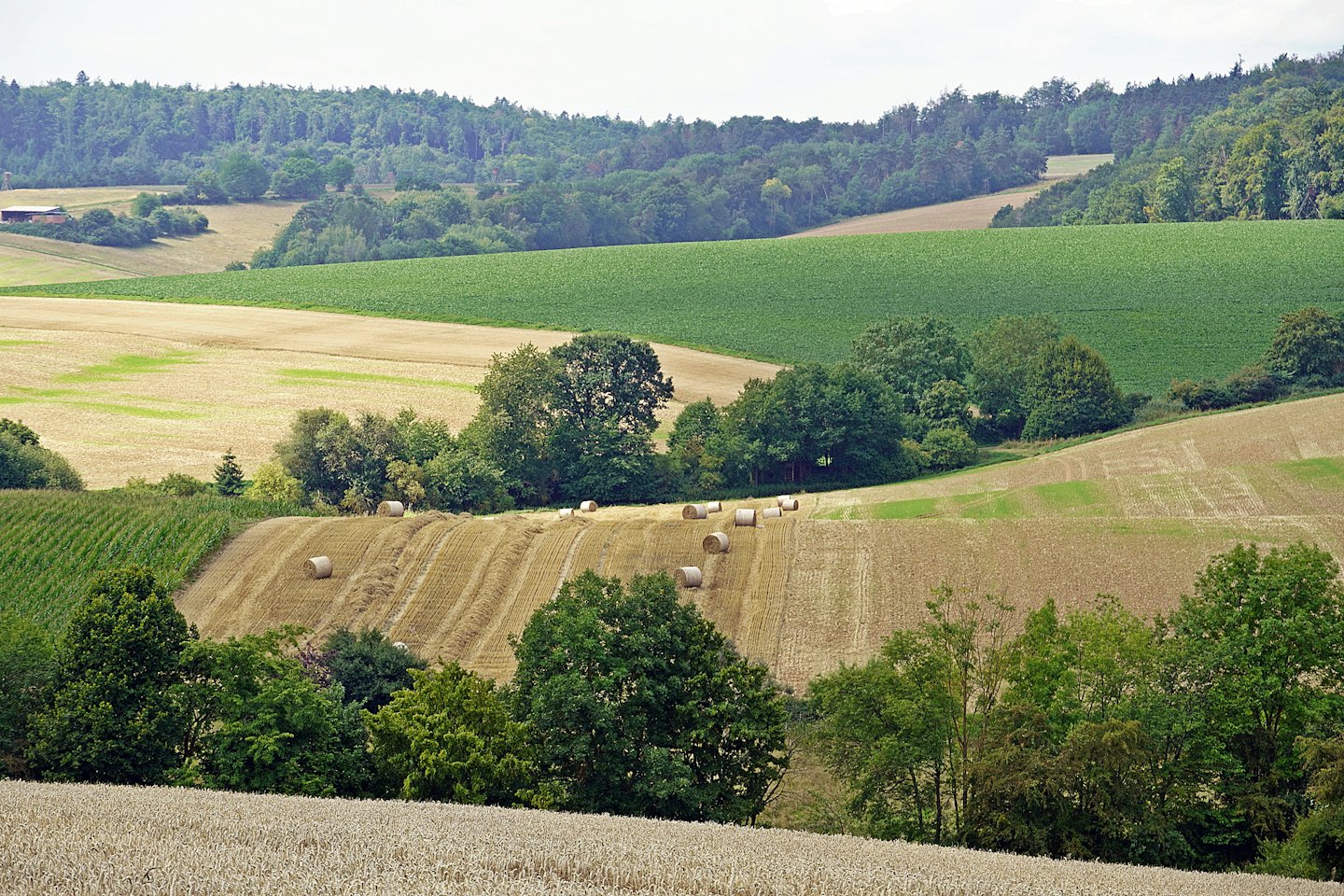 Rolling agricultural fields featuring scattered hay bales under cloudy skies.